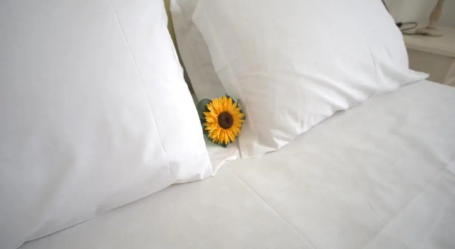 Двухместный номер Standard Villa Emilia