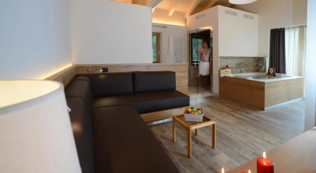 Люкс с балконом Vidor Resort