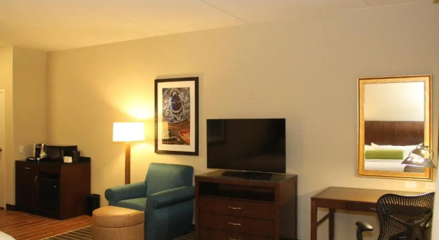 Двухместный номер Hilton Garden Inn San Antonio At The Rim