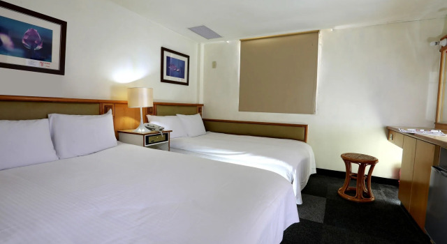 The Lion Hotel