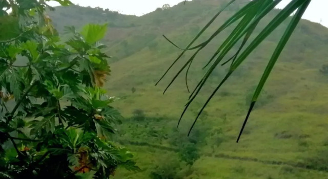 Yoho Jayamali Homestay