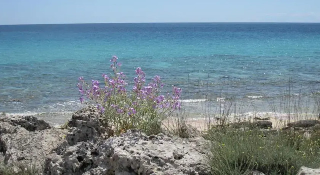 Casa Sansisa, Boek Appartement Lecce Salento