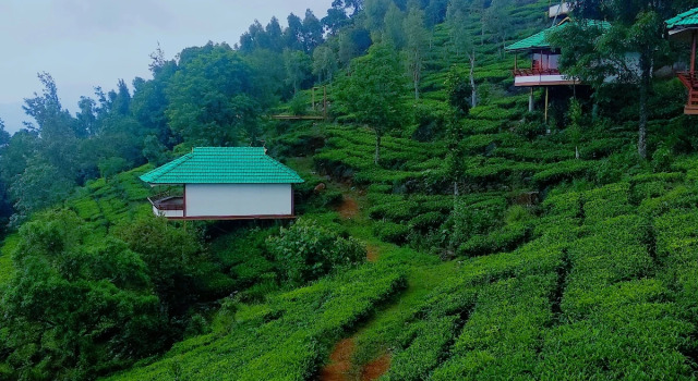Vythiri Hills Nature Resort