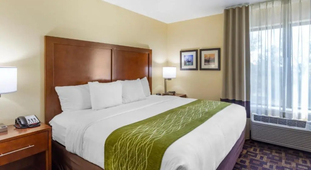 Номер Standard Comfort Inn & Suites
