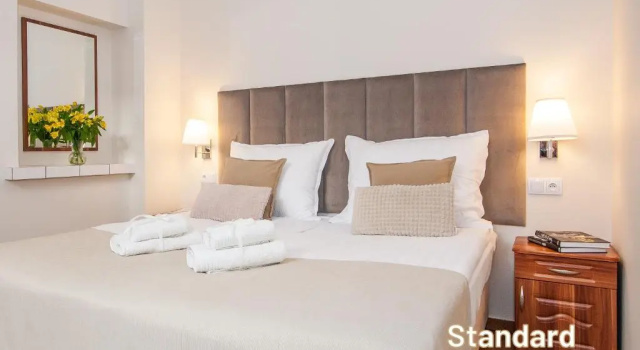 Двухместный номер Standard Hotel AWO