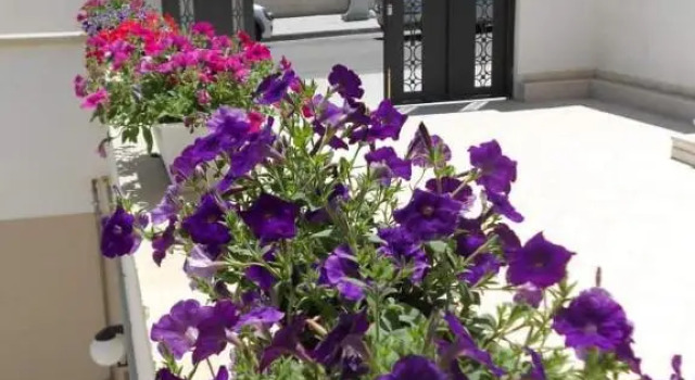 BB Ma Re, Book Hotel Otranto Salento