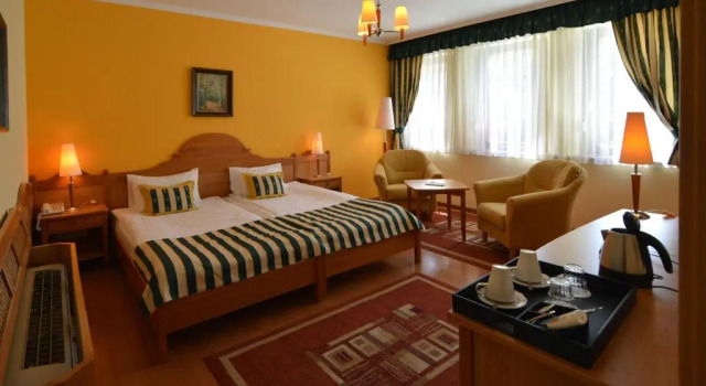 Двухместный номер Standard Hotel Villa Classica