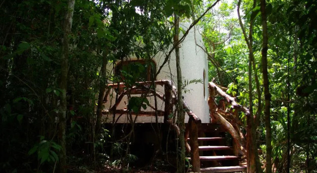 Номер Standard Jolie Jungle Eco Hotel