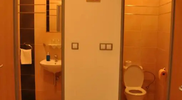 Апартаменты Hotel Lions Plzen