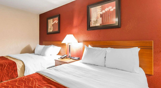 Standard Vierer Zimmer Quality Inn