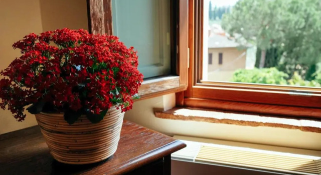 Номер Standard Hotel Santa Caterina