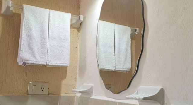 Номер Standard Hotel Casa Pellegrin