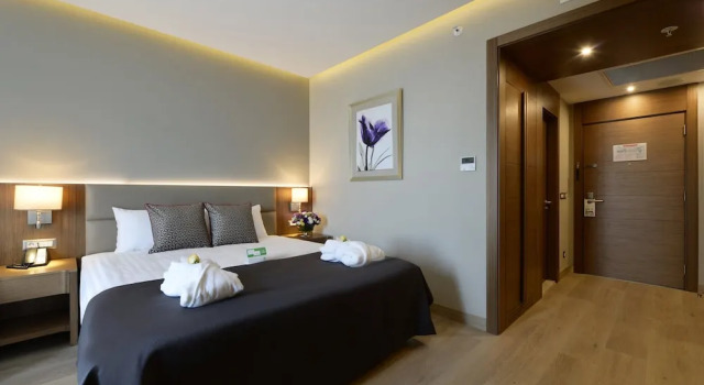 Двухместный номер с диваном-кроватью Standard Holiday Inn Bursa - City Centre by IHG