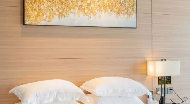 Люкс Haikou Mulian Daoxiang Healing Hotel