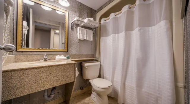 Двухместный номер Standard Monte Carlo Inn Vaughan Suites
