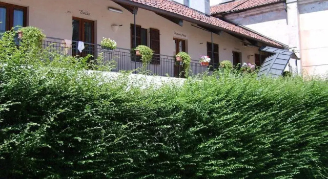 Oryza B&B-Ristorante