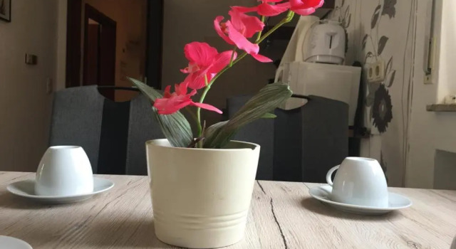 Апартаменты Ferienwohnung in Binger Stadtmitte mit Balkon