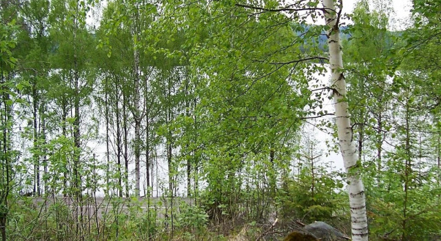 4 Person Holiday Home in Östmark, Foglalás Szálloda Torsby 