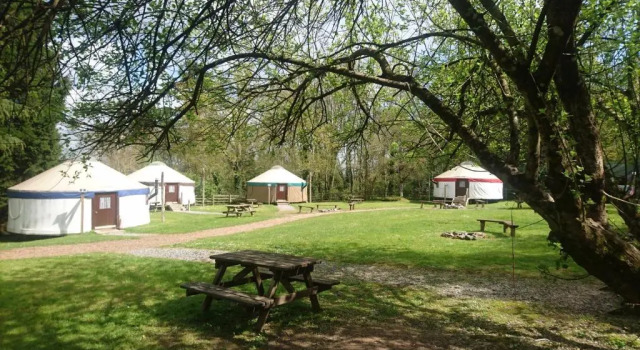 Yurtcamp Devon, Réserver Camping Bickington Devon