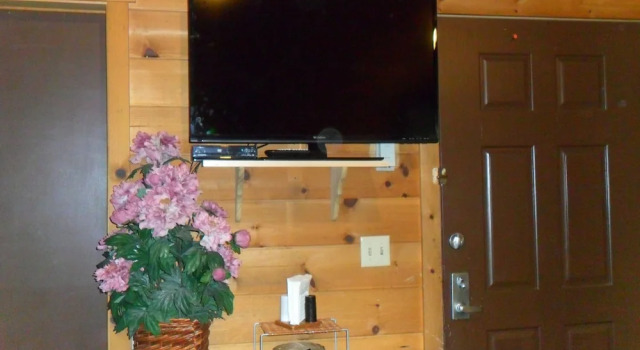 Номер Standard Big Bear Manor Spa Cabins