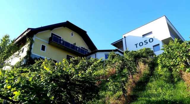Weingut Winzerzimmer Toso, Réserver Hôtel Hôtels 3 étoiles à Styrie, 3*