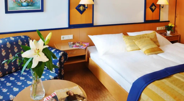 Одноместный номер Superior Strandhotel Alte Donau