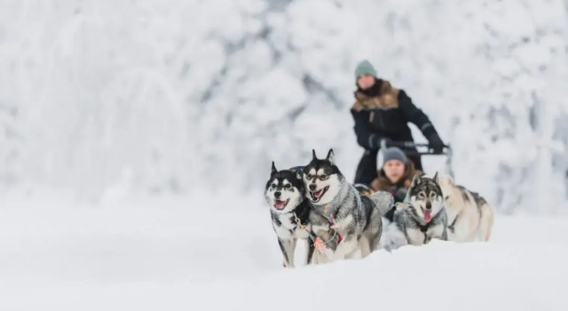 Wilderness Hotel Kieppi, Varaa Hotelli Saariselkä Saariselka Ski