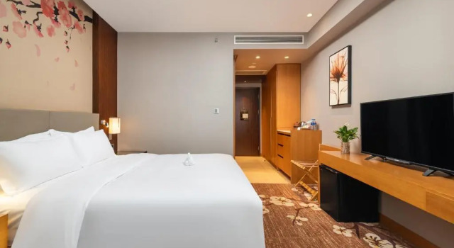 Номер Standard Hilton Garden Inn Guiyang Yunyan
