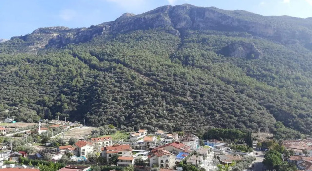 Семейный номер Standard Belle Vue Ölüdeniz