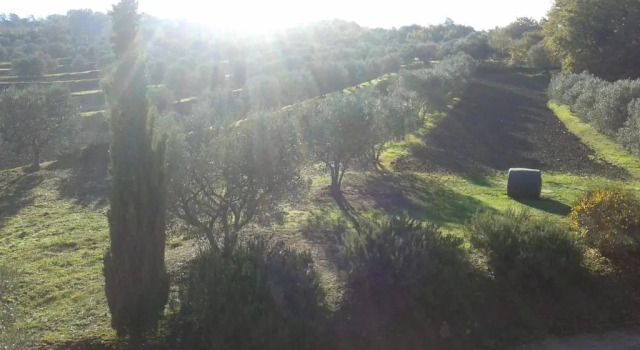 Апартаменты c 1 комнатой с видом на сад Agriturismo Barbi