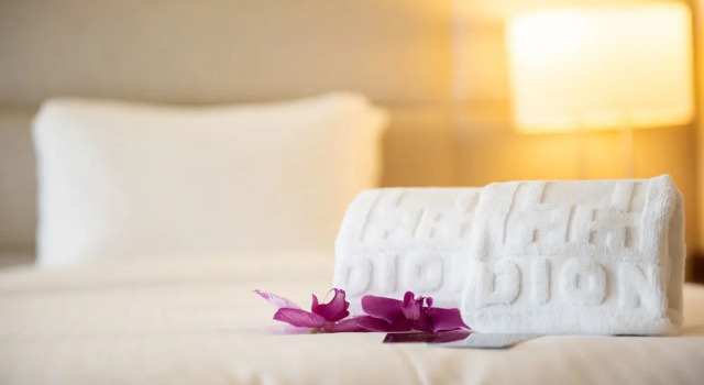 Business- værelse Hotel Dion