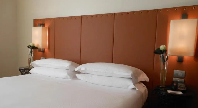 Двухместный номер Deluxe Starhotels Michelangelo Florence