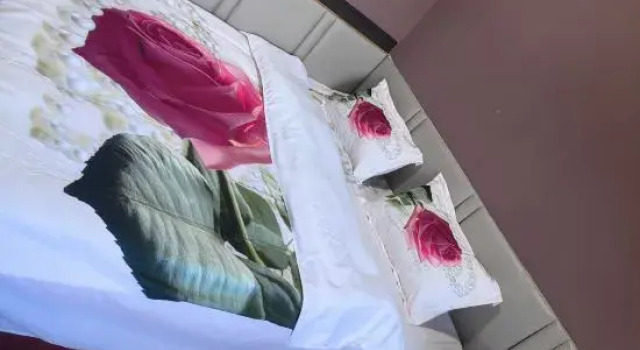 Двухместный номер Standard Jinzhong Xinyixuan Accommodation