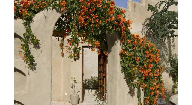Mihir Garh, Rezervovat Hotel Hotely v Rajasthan s parkováním, Parkování