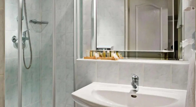 Двухместный номер Standard ibis Styles Bielsko Biala