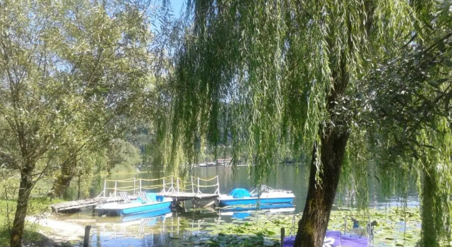 Шале Al lago Guest House