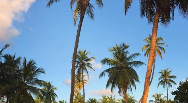 Отель Sunset Stay Maldives 