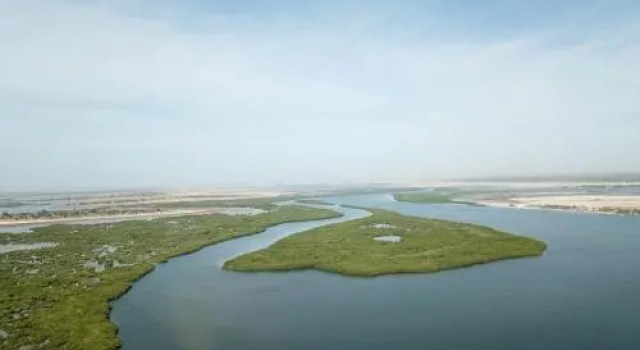 Le Pelican du Saloum