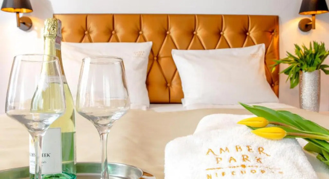Двухместный номер Standard Amber Park Spa