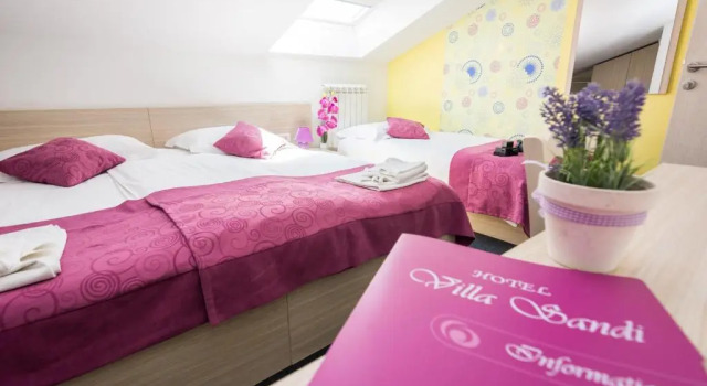 Двухместный номер Standard Мансарда Hotel Villa Sandi