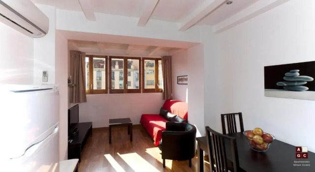 Апартаменты c 1 комнатой с балконом и с красивым видом из окна Apartaments Girona Centre