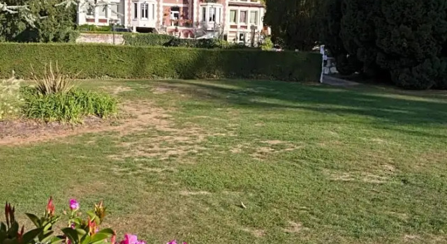 Номер Superior Chateau de Quesmy