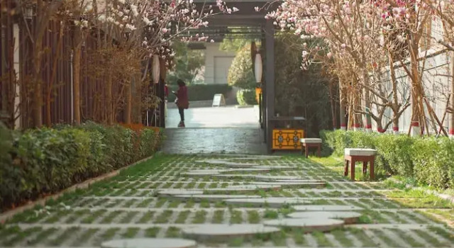 Номер Standard Xi'an Paradise Hotel of Han Dynasty