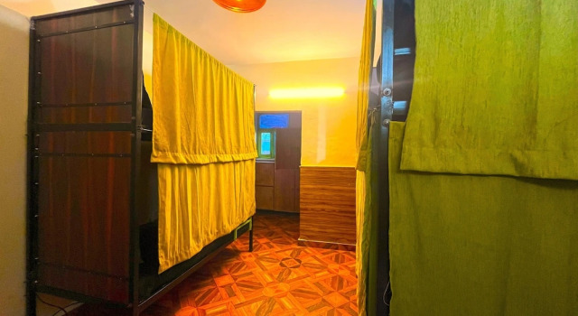 Кровать в общем номере Trippy Turtle Hostel