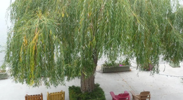 Номер Standard Sun Beach Motel