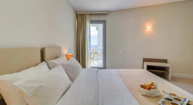 Одноместный номер Standard Palace Hotel Athens Riviera