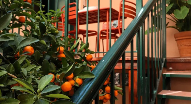Номер Deluxe Дуплекс Colosseo Garden Lodge