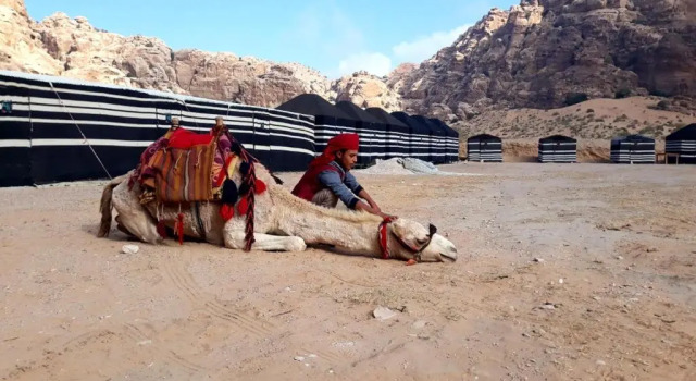 Ammarin Bedouin Camp, Book Hotel Hotels in Petra with Parking, Parking