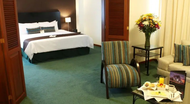 Одноместный номер Deluxe El Polo Hotel & Suites