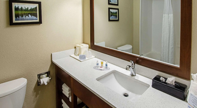 Четырёхместный номер Standard Comfort Inn & Suites Santee I-95